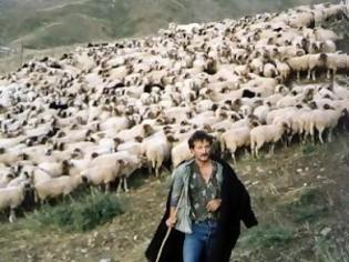 Φωτογραφία για Αλβανός βοσκός σκότωσε Έλληνα, επειδή βόσκησε τα ζώα στο ίδιο χωράφι!