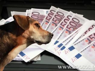 Φωτογραφία για 1.520.000 ευρώ από το ΥΠ.Α.Α.Τ. για καταφύγια αδέσποτων ζώων