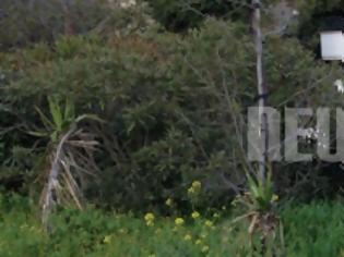 Φωτογραφία για Έτσι βρήκαν τη νέα γιάφκα των Πυρήνων στα Τουρκοβούνια - Σχεδόν όλοι είχαν περάσει από εκεί