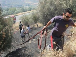 Φωτογραφία για Πύρινα μέτωπα σε όλη την Κρήτη - Ολονύκτια μάχη με τις φλόγες