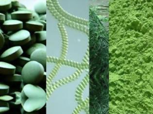 Φωτογραφία για Τρόποι αποτοξίνωσης από τα χημικά των αεροψεκασμών (Chemtrails)