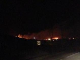 Φωτογραφία για Νεότερα για τη μεγάλη φωτιά στη Πάρο - Το μέτωπο της φωτιάς ξεπερνά τα 200 μέτρα
