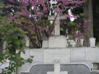 Φωτογραφία για Σέρβιρε στην ταβέρνα τoυ κλεμμένο λάδι από...νεκροταφείο